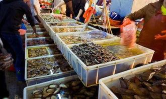 海鲜市场 爆料怎么做视频,揭秘幕后交易与新鲜资讯 第1张 海鲜市场 爆料怎么做视频,揭秘幕后交易与新鲜资讯 第1张