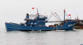 爆料渔船视频大全下载安装,视频大全带你领略海上捕捞世界